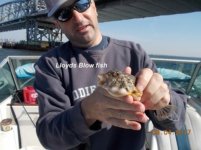 09.04.2017 - Lloyds Blow fish.jpg