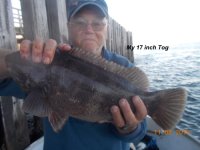 11.08.2016 - My 17 inch Tog.jpg