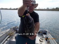 10.05.2017 - Joes 4lb Tog.JPG