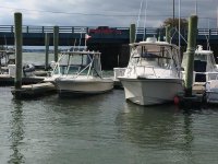 IMG_1161.jpg