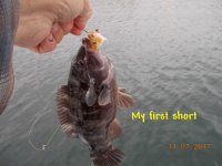 11.07.2017 - My first short.JPG