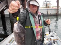 11.07.2017 - Joe's 13 plus short.JPG