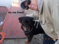 11.27.2017 - My new friend.JPG