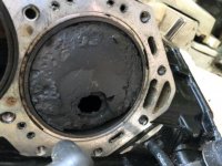 3AB15FF6-24BD-4206-98EA-4AEBC4656585.jpg 3AB15FF6-24BD-4206-98EA-4AEBC4656585.jpg