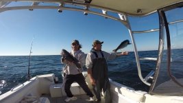fish Nov 2015-black&blue2.jpg