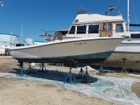 2019-09-12 11.25.47.jpg