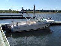IMG_20191102_120340.jpg