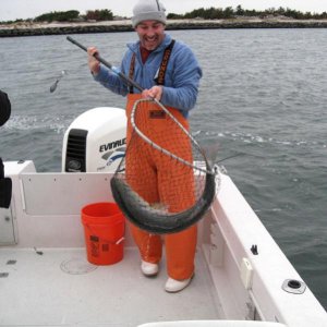 Captain works the net.