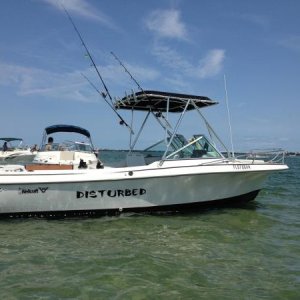 Disturbed sittin on the Sandbar St. Lucie Inlet