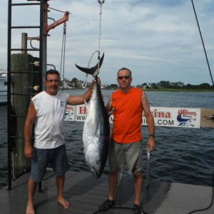 88 Lb Bluefin