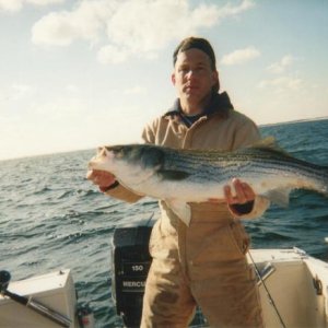 22 LB Striper