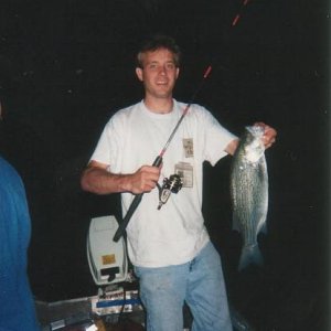 Spruce Run hybrid striper