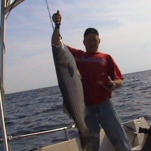 33# striper 2006-10-16