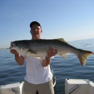 Striper 20080613 007