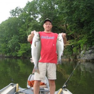 Weiss Lake AL stripers