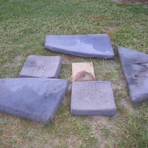 Old destroyed cushions (Medium)