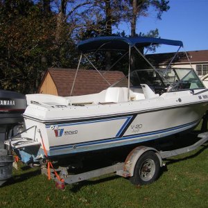 Legally registered and Bimini Repaired (Medium)