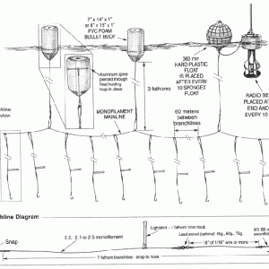 buoy-diagram