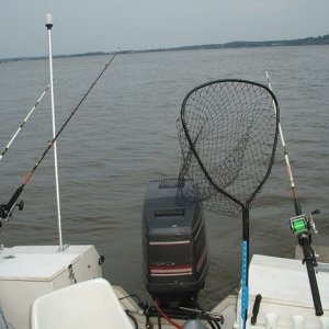 my Catfish spread on the day i blew my motor :( piston was blown in the pic..but i went fishing anyway lol