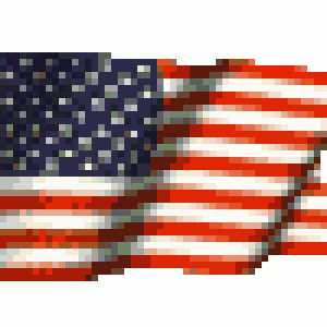 usa flag