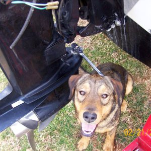 Rocky helping me change the water pump.