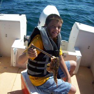 Joey with a toad fish.