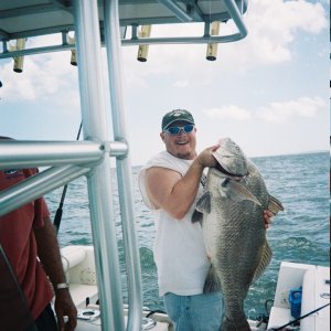 My son with a baby Black Drum