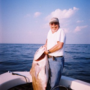 Now that is a Black Drum