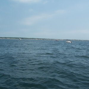 Some boats starting fishing in closer to the shoreline