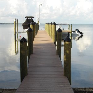 Keys Sept 2007 
Butonwood Sound, Key Largo
Slick 