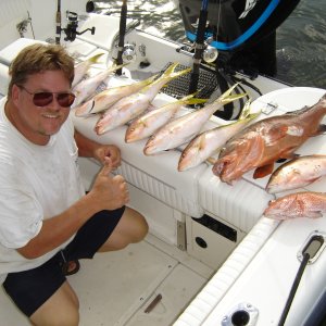 Keys Sept 2007 
R-L Speckled Hind, Mutton, Red Grouper,
Yellowtail...