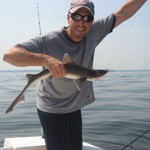 My first shark!