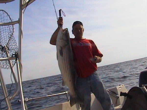 33 LB Striper