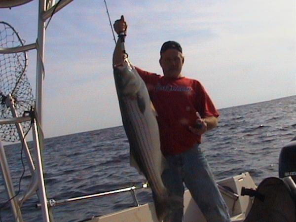 33# striper 2006-10-16