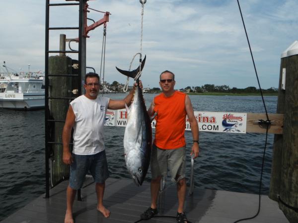 88 Lb Bluefin