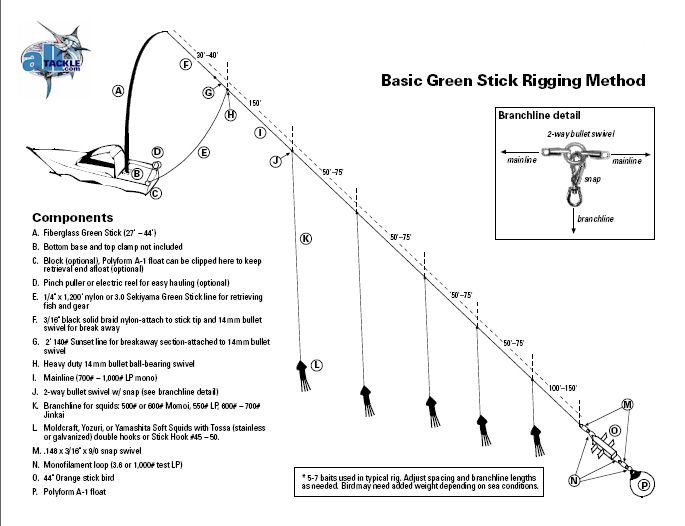 greenstick diagram basic