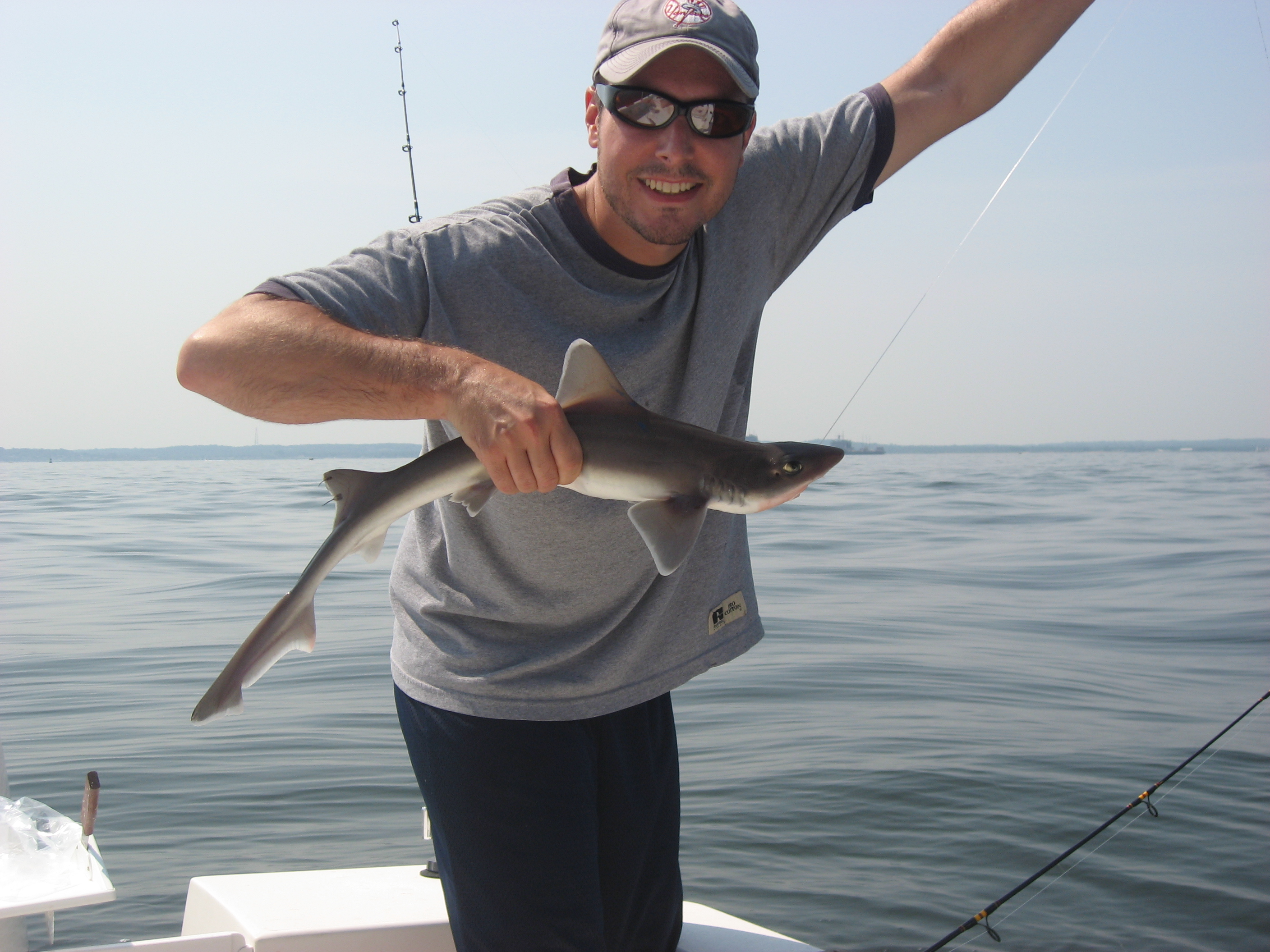 My first shark!