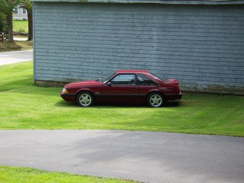 My son's Mustang