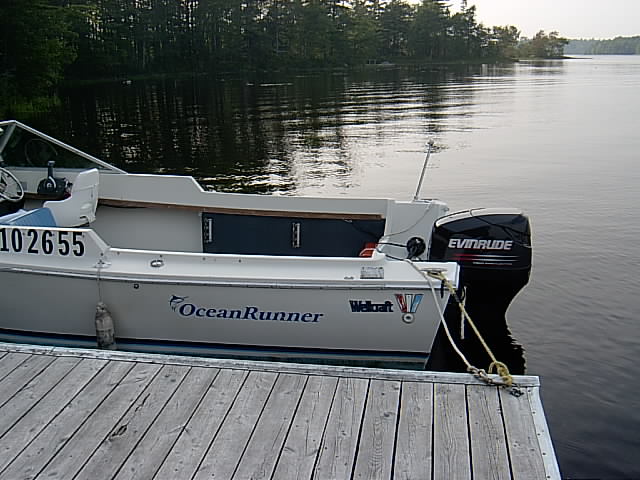 Ocean Runner  evinrude  115