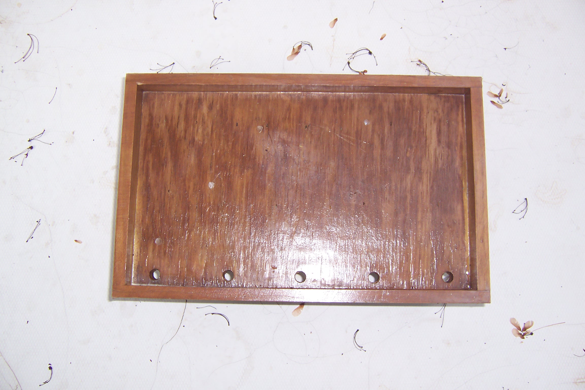 "schmoo board" bait cutting board made of PT plywood. Drilled five 1/2" holes thru so schmoo can drain off the boat.